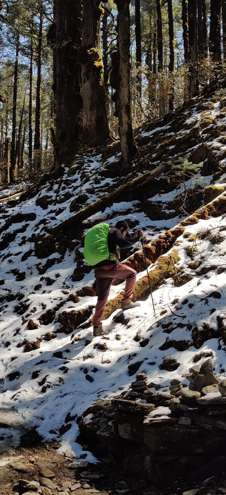 Trekker climbing a snowy forested trail toward Gosaikunda
